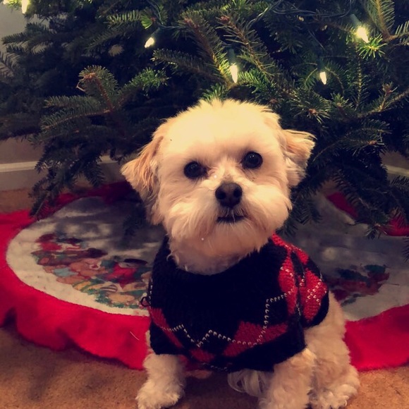 Meet your Posher, Brooke - Picture 1 of 1